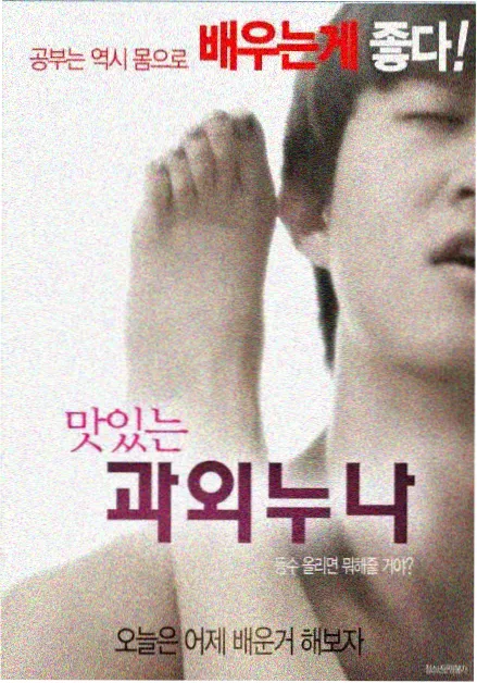 韩国情色电影《汉江之南》作品封面